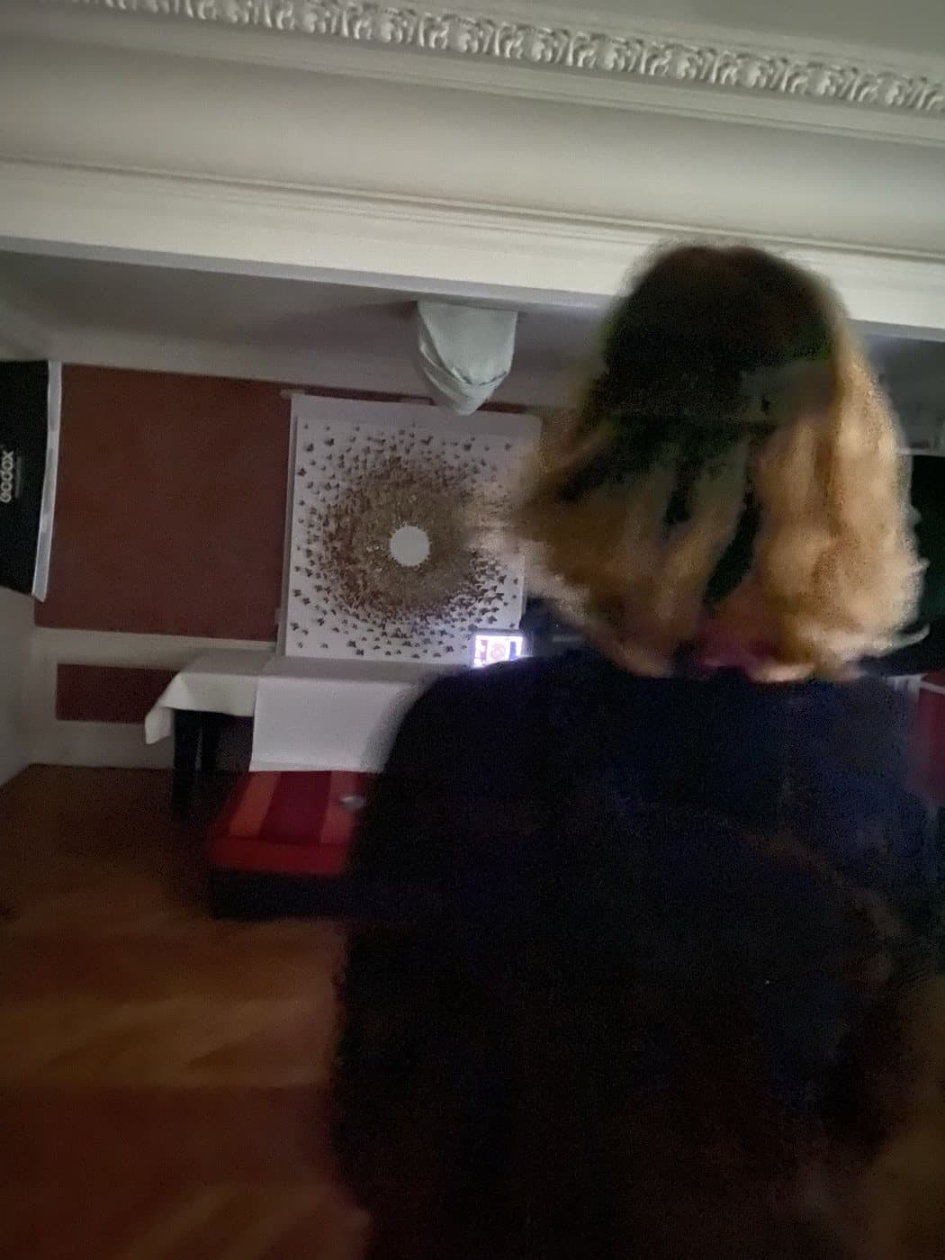 Séance photographique des œuvres, vue 15