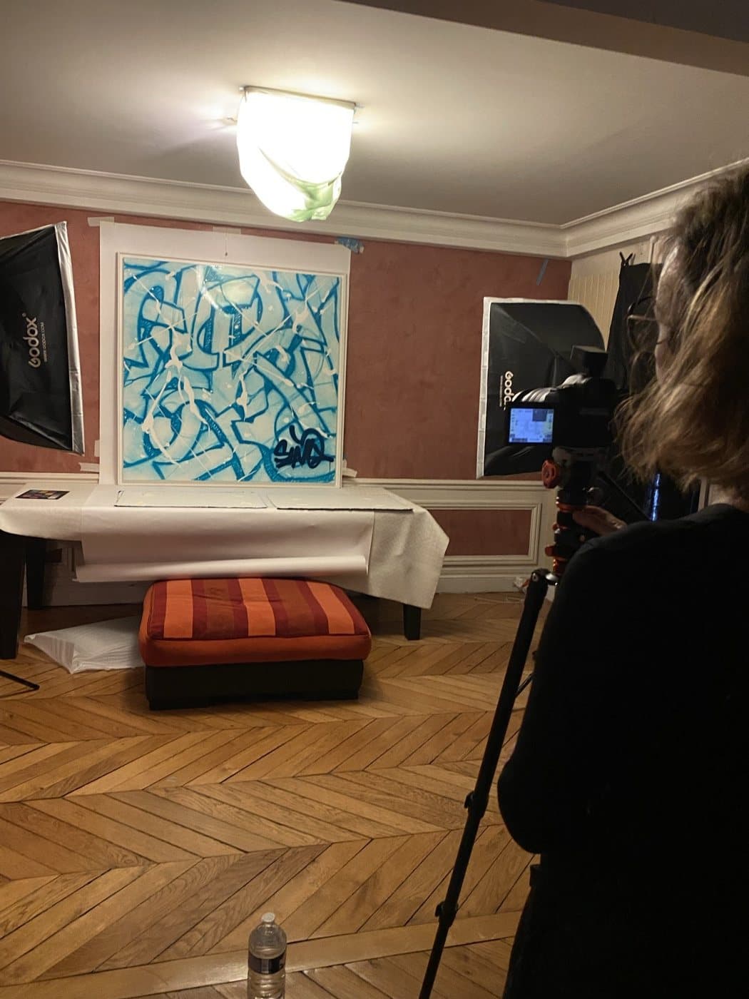 Séance photographique des œuvres, vue 34