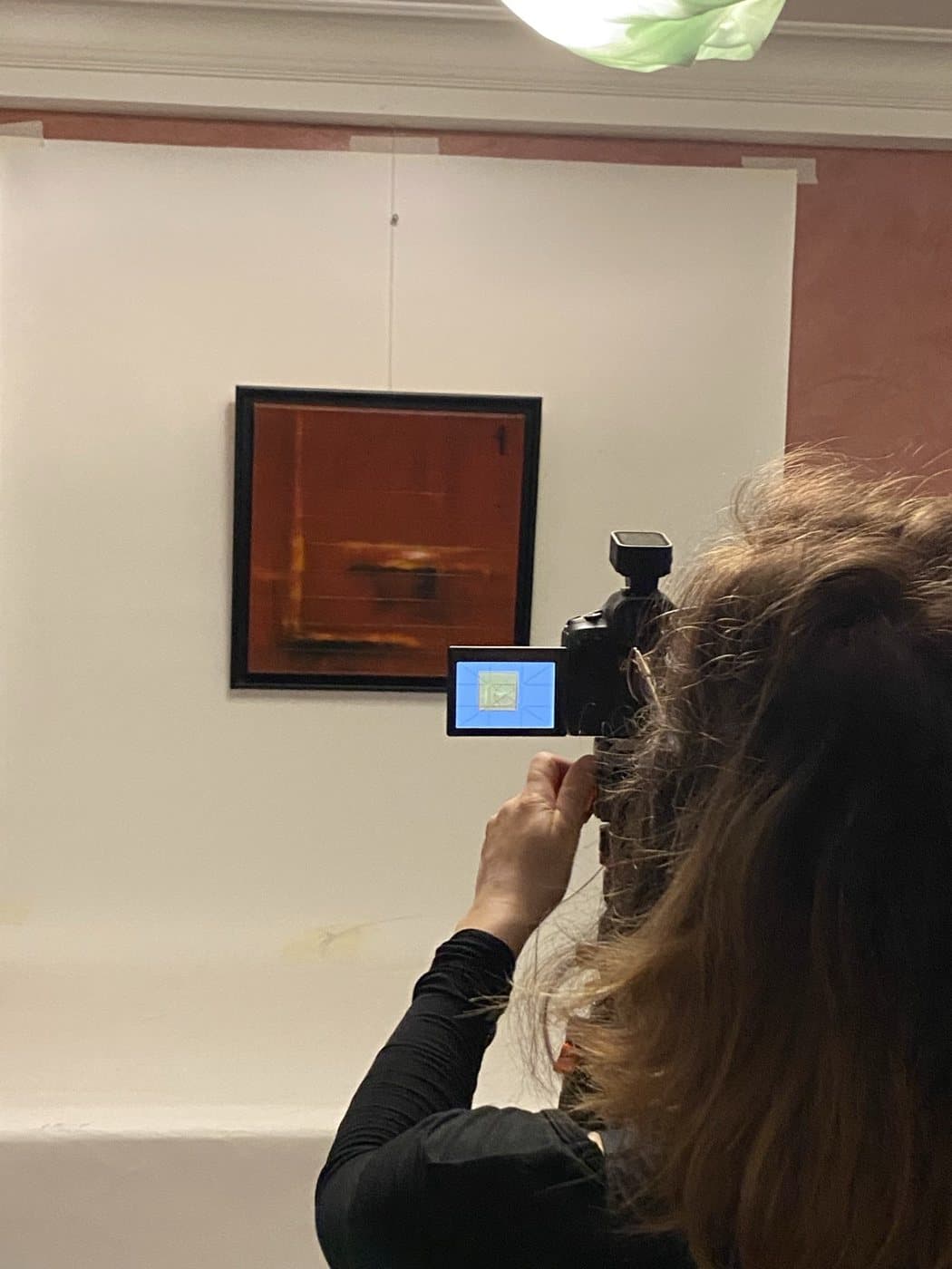 Séance photographique des œuvres, vue 52