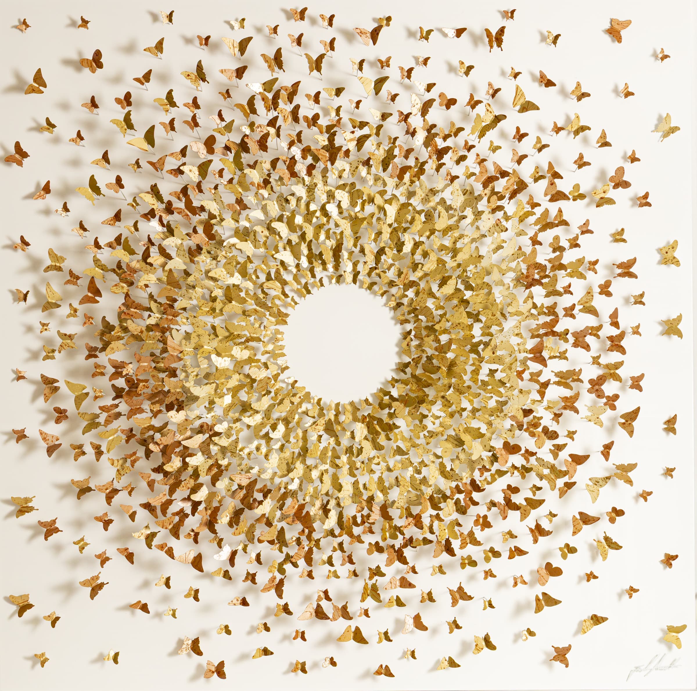 Here Comes the Sun, œuvre de Joel Amit