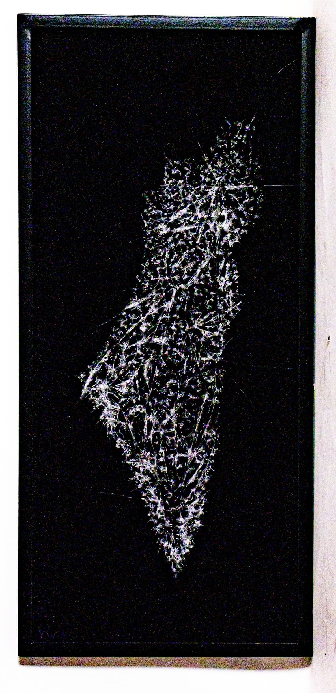 The Complete Land of Israel, œuvre de Yosef Wasse