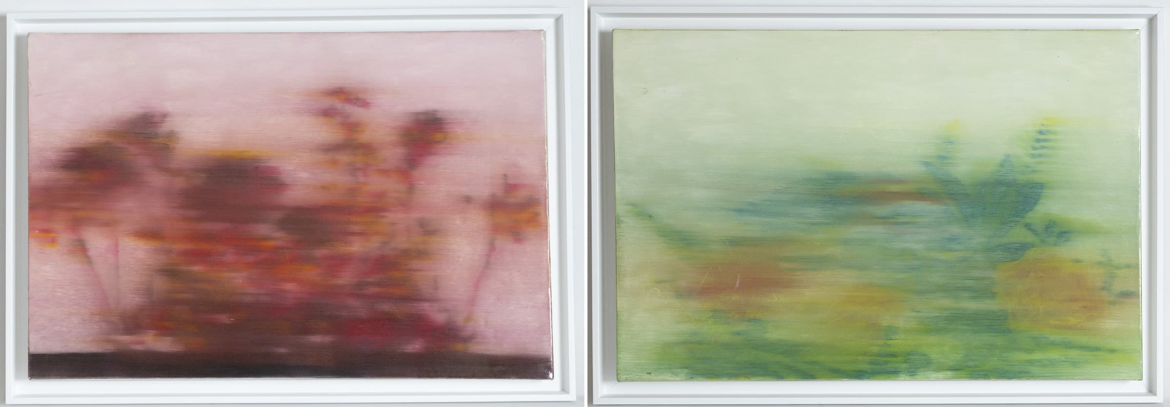Diptych: Pink and Green Flowers, œuvre de Yuval Orly