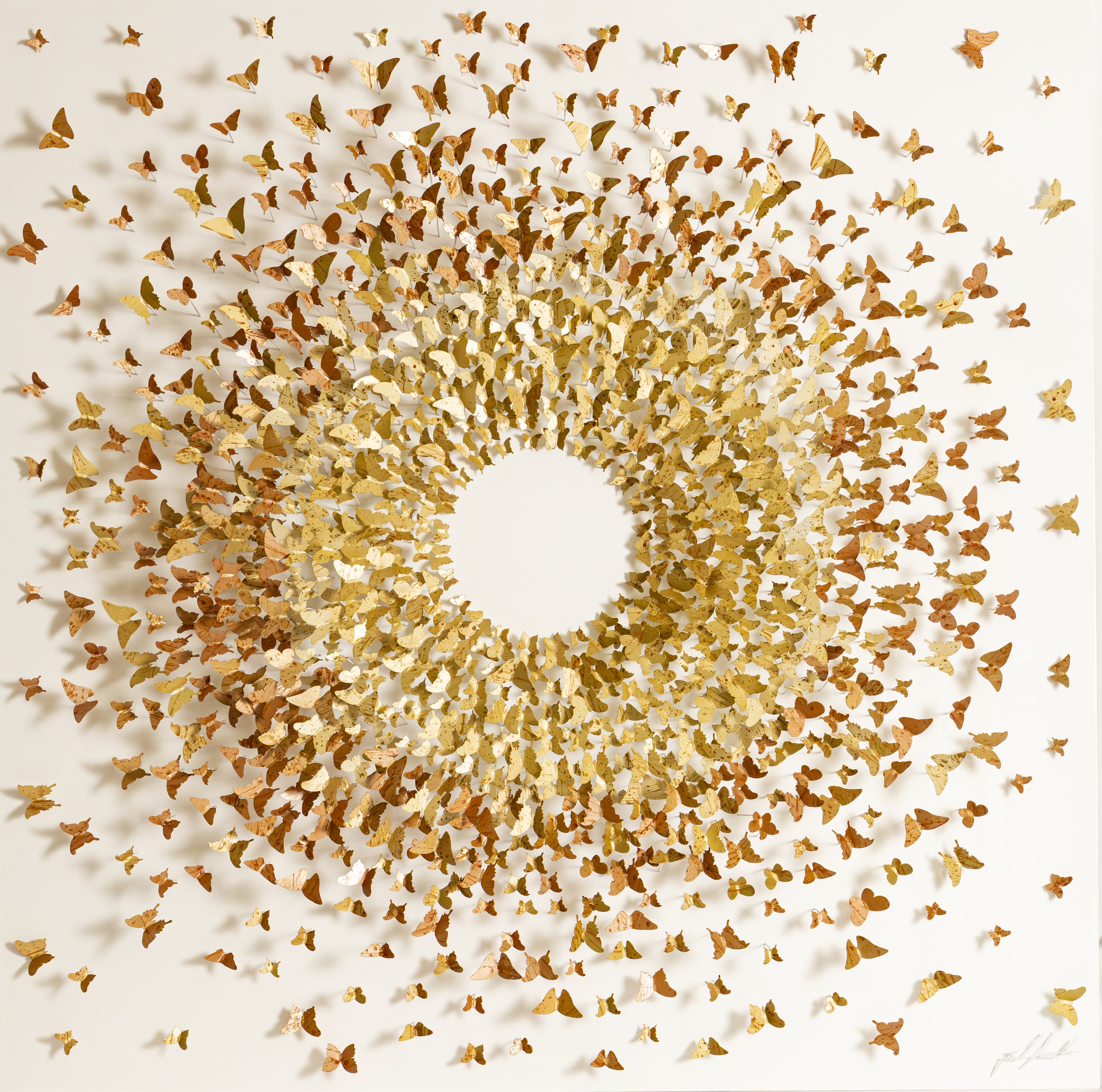 Here Comes the Sun, œuvre de Joel Amit